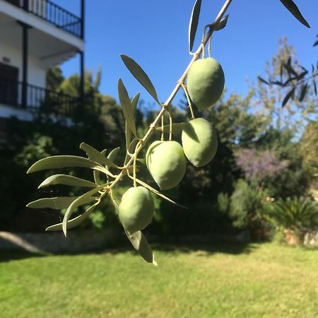Nikos & Panagiota Apartman Vurvurú Kültér fotó