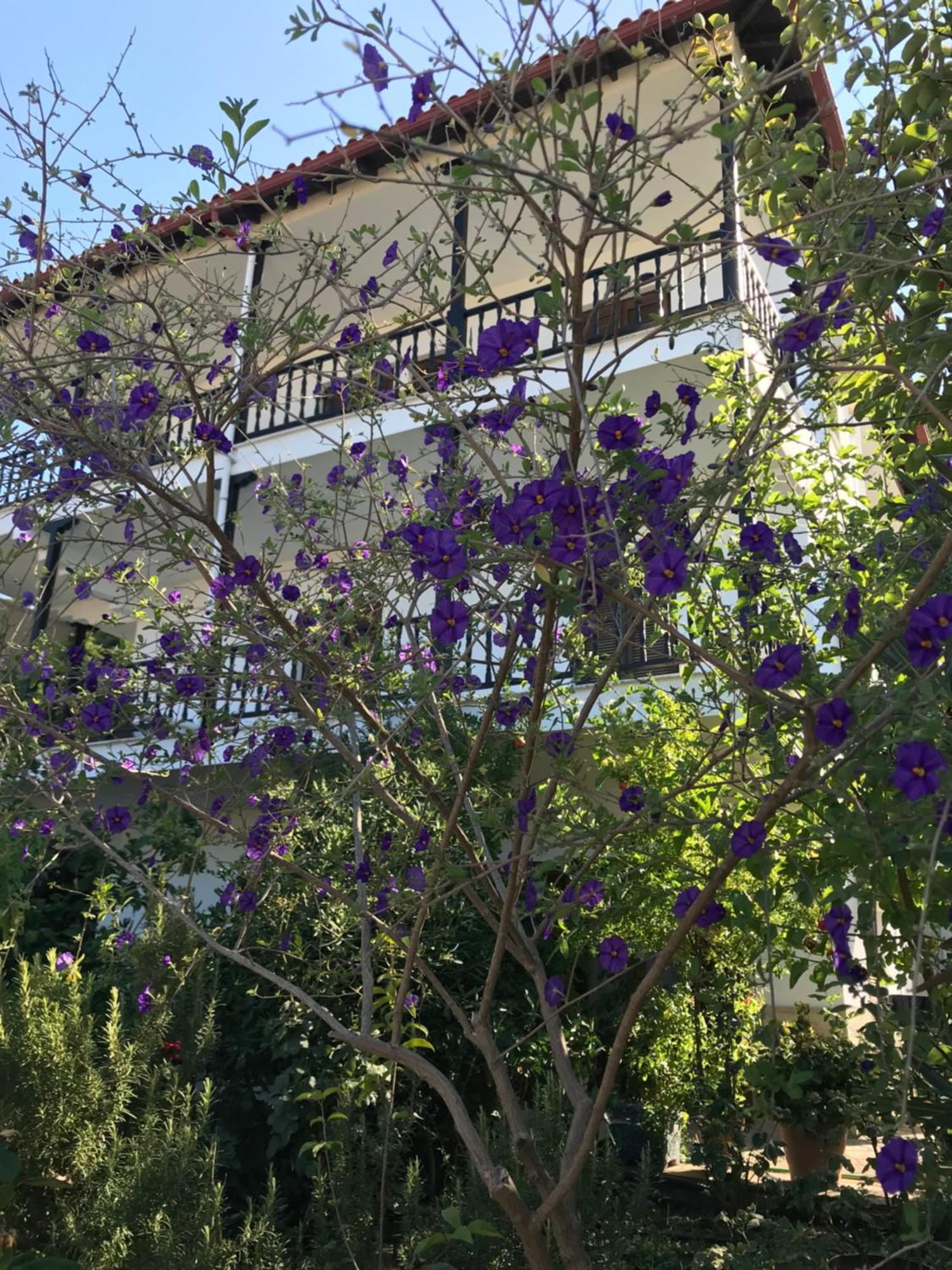 Nikos & Panagiota Apartman Vurvurú Kültér fotó